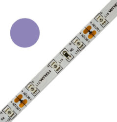 Color LED pásek WIRELI 3528  60 404nm 4,8W 0,4A 12V (fialová - purpurová do modr - Standardn barevn LED psek malho vkonu a netradin barvy.